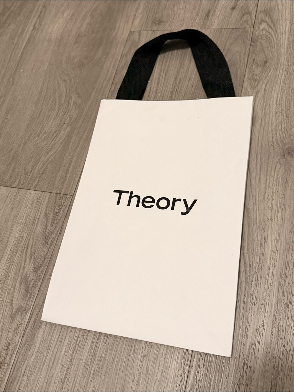 THEORY Shopping Gift Bag 11.5x8x4 inches